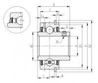 SER Series Insert Bearings – Set Screw Locking